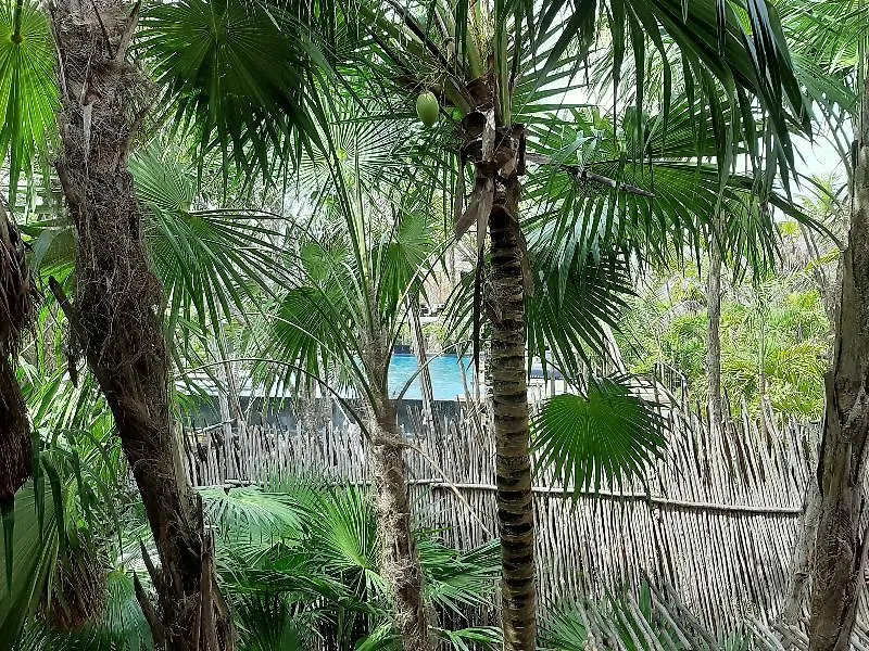 The Radhoo Tulum - Adults Only 호텔